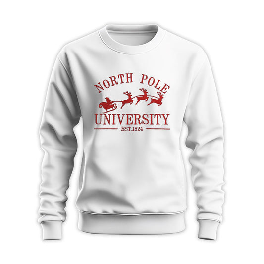 North Pole Santa Embroidered Christmas Sweatshirt GECM270324-14